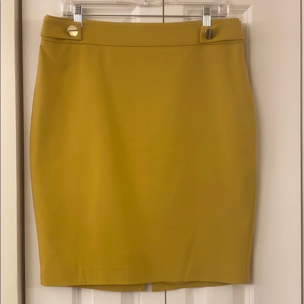 Express Skirt